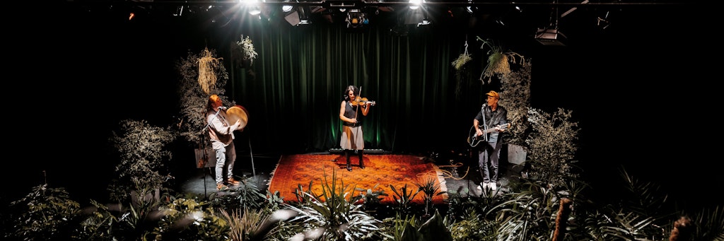 Das Trio Pangea spielen für 182 Topfpflanzen.
