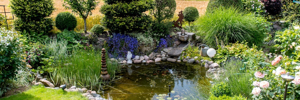 Form, Größe, Pflanzen: ein Gartenteich bietet vielfältige Gestaltungsmöglichkeiten. 