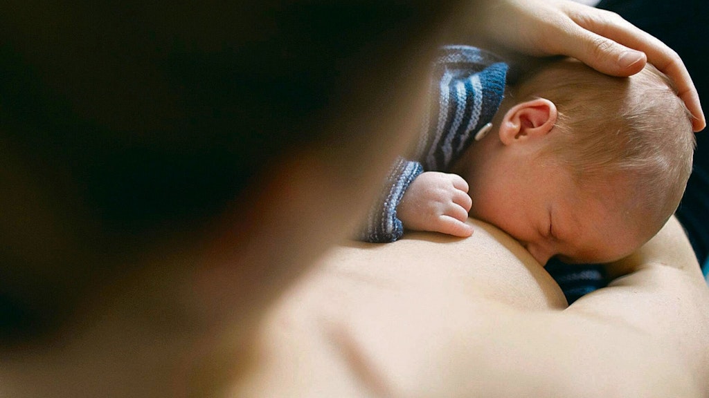 Ein Säugling, zwei Wochen alt, trinkt am Busen der Mutter.