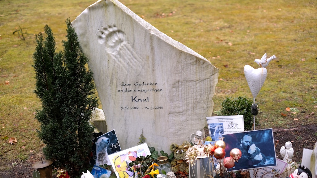 Viele Fotos schmücken das symbolische Grab von Knut auf dem Spandauer Friedhof.
