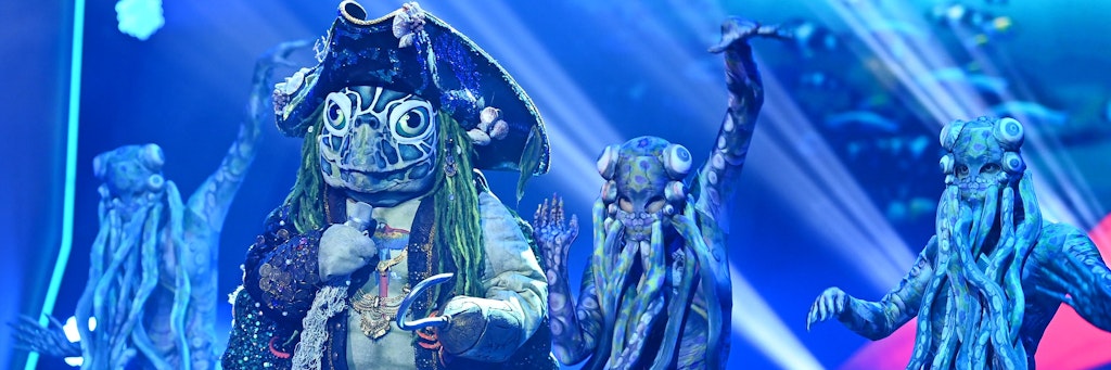 Im Schildkröten-Kostüm bei „The Masked Singer“ steckt Thomas Anders.