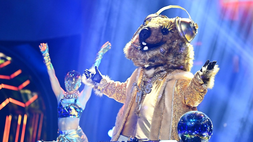 Das Quokka darf nicht mehr bei „The Masked Singer“ auftreten.