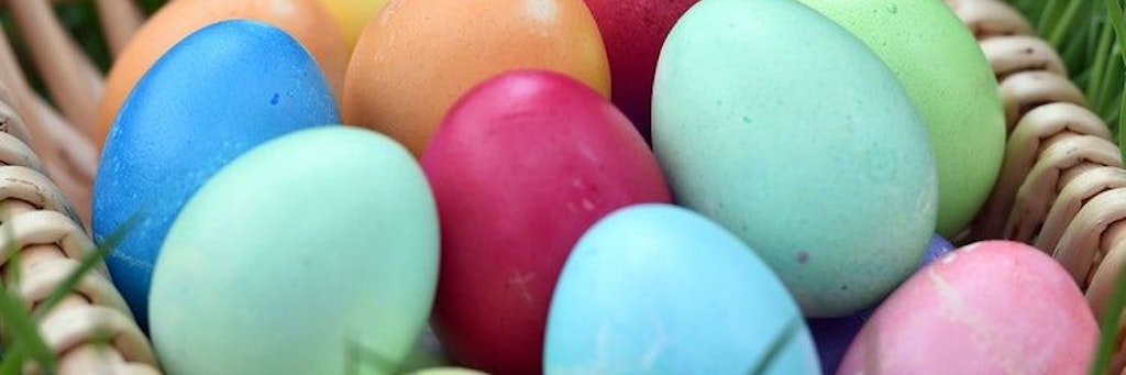 Bunt gefärbte Eier – aus Freilandhaltung könnten sie zu Ostern Mangelware sein.