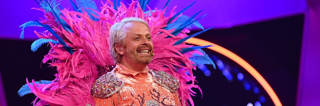 Entertainer Ross Antony stand als Flamingo auf der „Masked Singer“-Bühne.