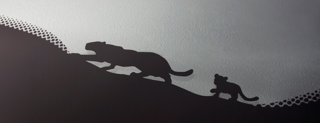 Folgt der Mama auf der Pfote: Ein Katzengespann geht entlang des schwarzen Scheibenrands bei Jaguar auf Pirsch. 
