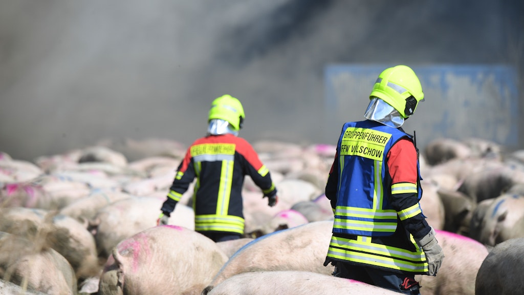 Feuerwehrleute im Einsatz bei dem Großbrand in dem Schweinezuchtbetrieb in Alt Tellin 