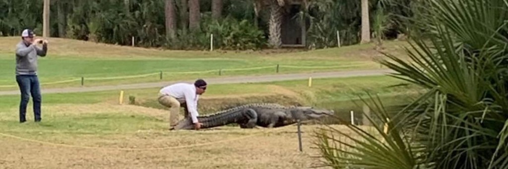 Ein auf Facebook veröffentlichtes Bild zeigt, wie der Mann einem Alligator am Schwanz zieht, während ein Mitspieler ein Foto knipst.
