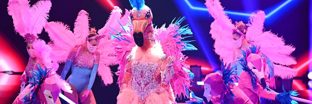 Musste in der letzten Folge von „Masked Singer“ am Ende zittern, kam aber weiter: der Flamingo.