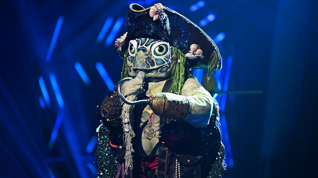 Die Schildkröte wird auch in der nächsten Folge von „Masked Singer“ antreten.