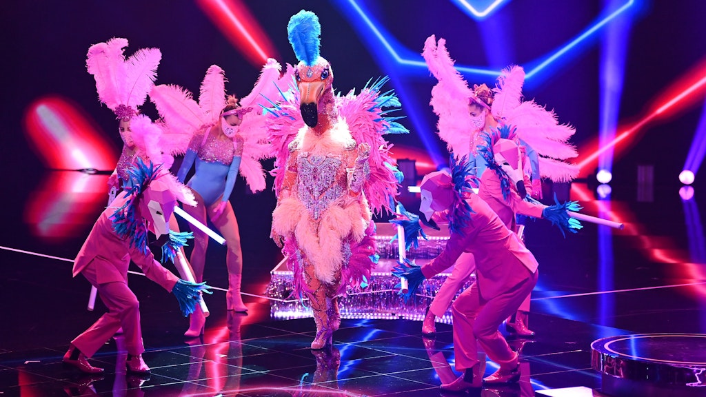 Ist noch im Rennen bei „The Masked Singer“: der Flamingo.
