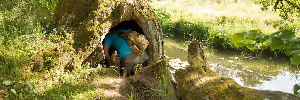 Beim Geocachen wird spielerisch nach versteckten Schätzen gesucht.