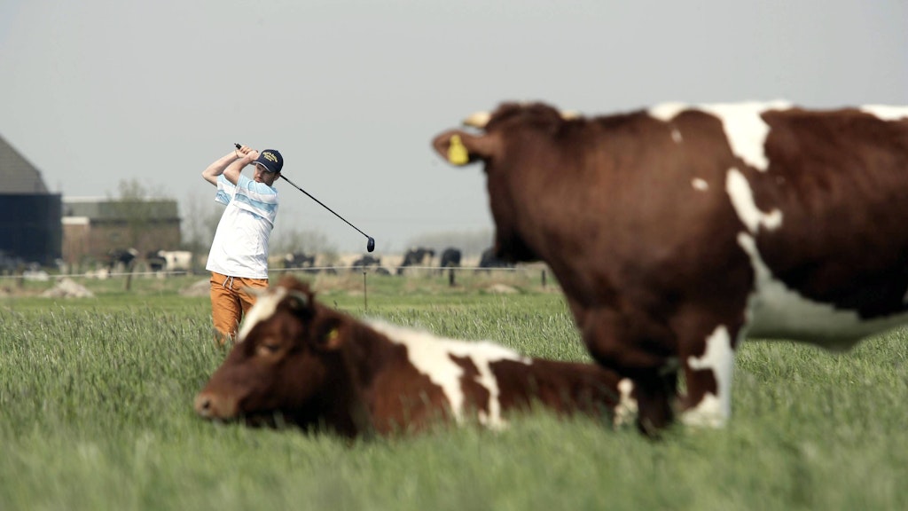 Beim Crossgolf geht es fernab vom Golfplatz über Stock und Stein.