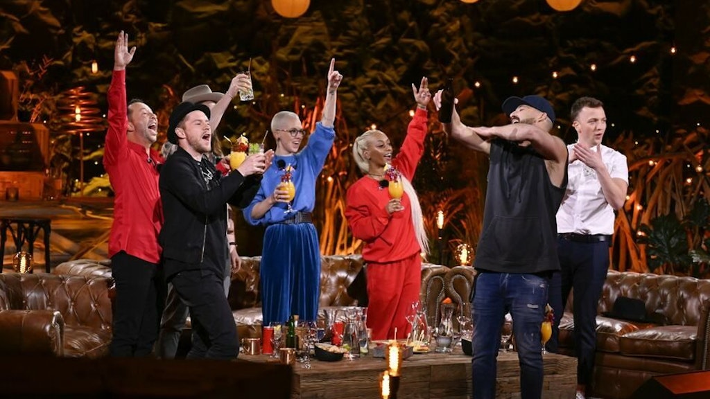 Haben Spaß beim Tauschkonzert: Die Stars der achten Staffel „Sing meinen Song“. 