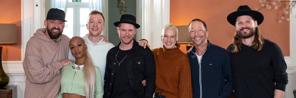 Das sind die Stars der achten Staffel von „Sing meinen Song“.