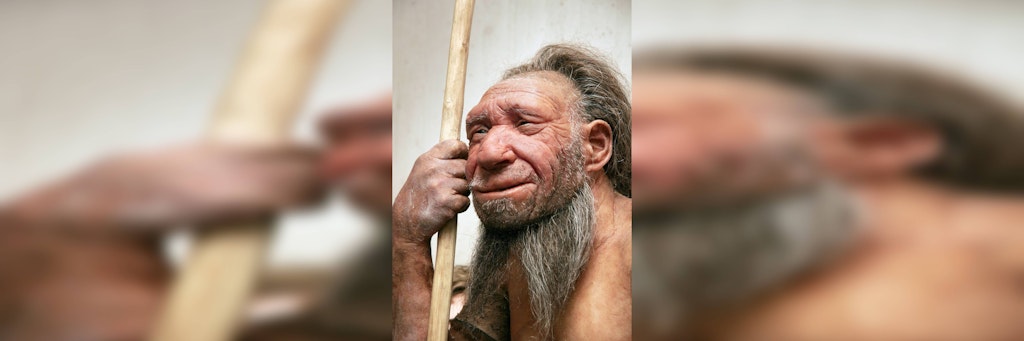 Sah so der Neandertaler aus? Forscher könnten bald noch mehr über unsere Vorfahren wissen. 