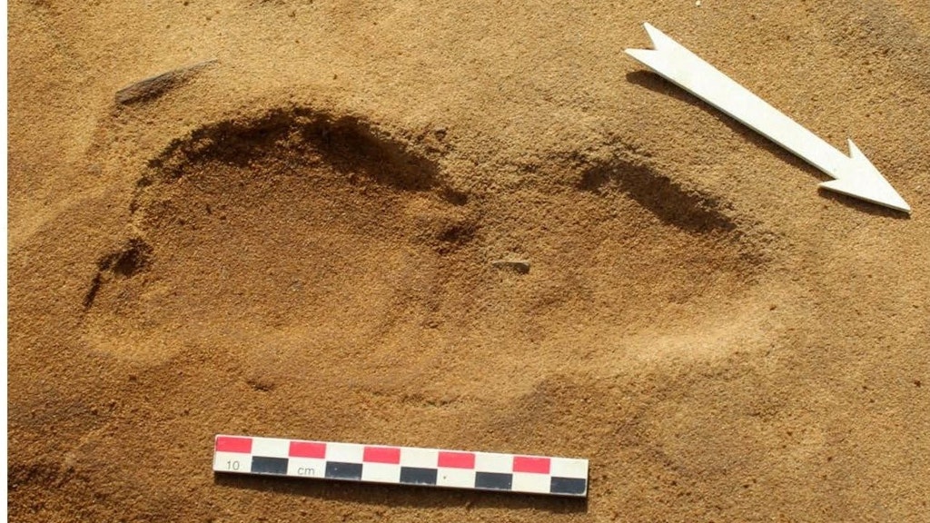 An einem Strand in der Normandie bei Le Rozel entdeckten Forscher über 250 Spuren von Neandertalern in einem ehemaligen Flussbett.<br>