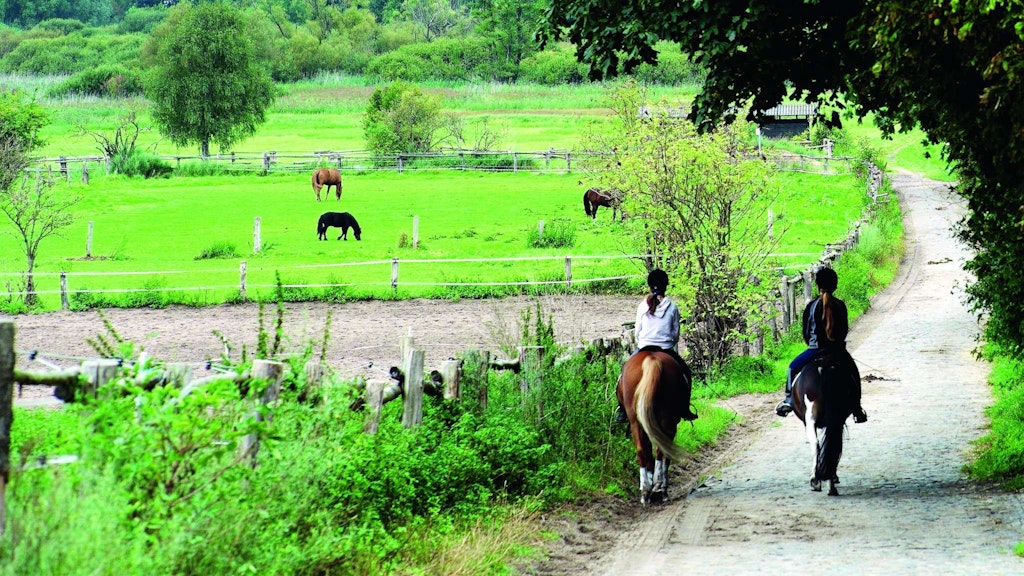 Außer Spaziergängern, Wanderern und Radfahrern wissen auch Reiter die Natur um Lübars zu schätzen.