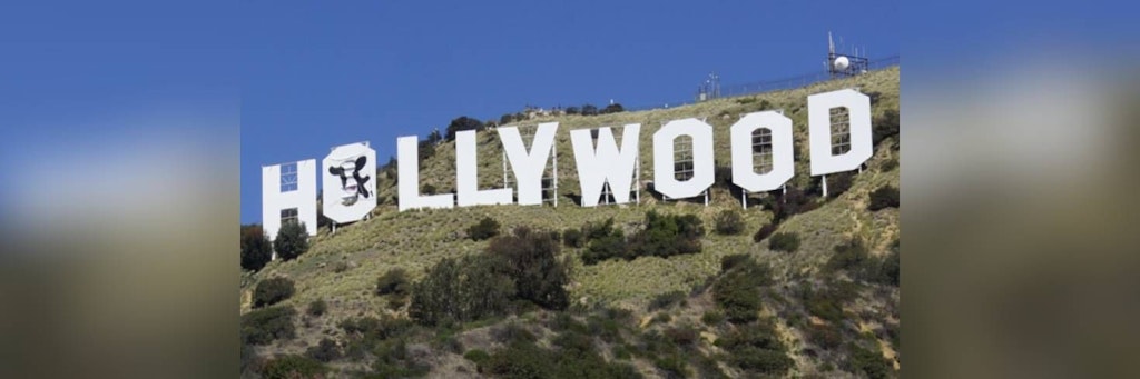 Was macht die Kuh auf dem Hollywood-Schriftzug?