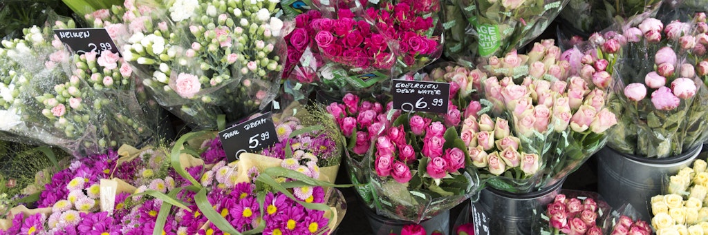 Blume 2000 verschenkt am Dienstag nach Ladenschluss in Berlin alle Pflanzen und Blumen.