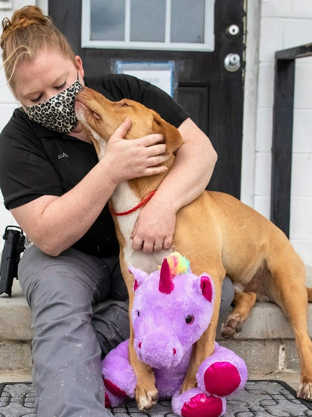 Mit diesem Plüsch-Einhorn machte eine Mitarbeiterin des Tierschutzes einen Straßenhund überglücklich.
