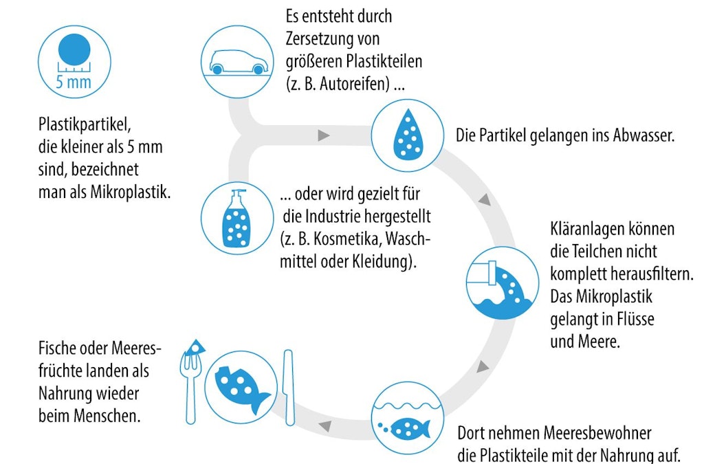 Der Kreislauf des Mikroplastiks