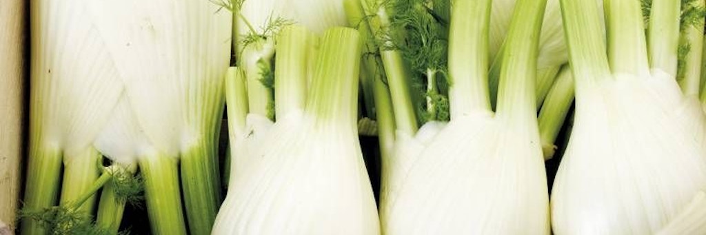 Fenchel schmeckt in einer heißen Suppe richtig lecker!