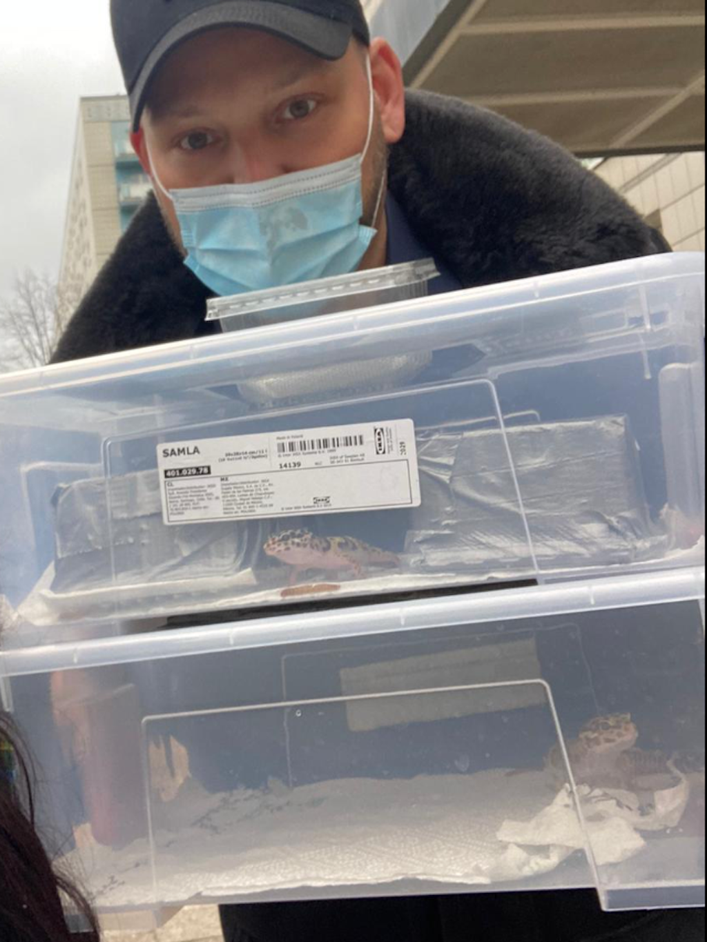 Stefan Klippstein zeigt die Plastik-Boxen, in denen die gezüchteten Geckos aufbewahrt und transportiert werden.