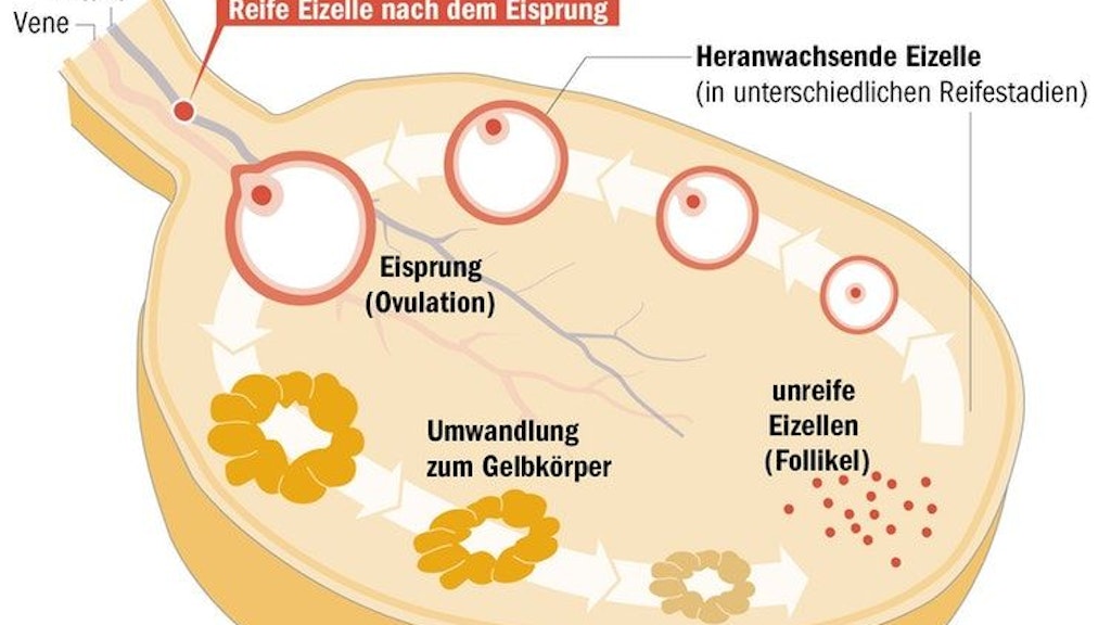 Berliner Verlag