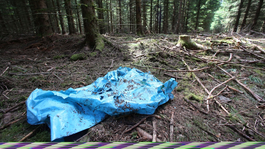 Ein blauer Kunststoff-Sack liegt am Anfang Juli 2016 in einem Waldstück im Saale-Orla-Kreis bei Rodacherbrunn (Thüringen), in dem auch Skelettteile von Peggy gefunden worden waren. 