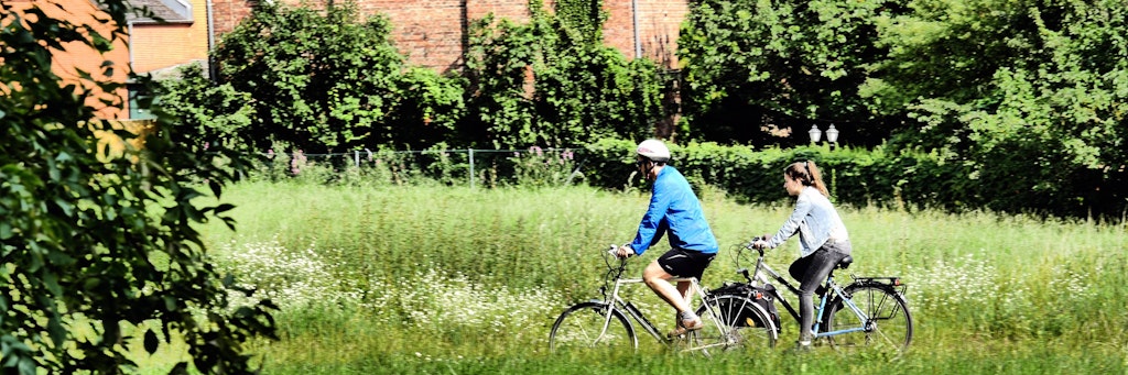 Zu Pfingsten dürfte es viele Berlinerinnen und Berliner in die Natur ziehen.<br>