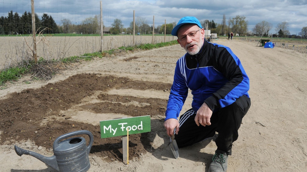 Klaus Alex (63) ist Koch und wohnt in Hellersdorf. Er hat sich schon das zweite Jahr ein Beet gemietet und pflanzt Kartoffeln, Zwiebeln, Knoblauch und exotische Gewürze.<br>