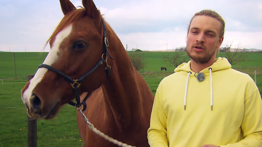 Björn Diefenbach sucht bei „Bauer sucht Frau“ eine Partnerin fürs Leben, die auch seine Liebe zur Landwirtschaft teilt.