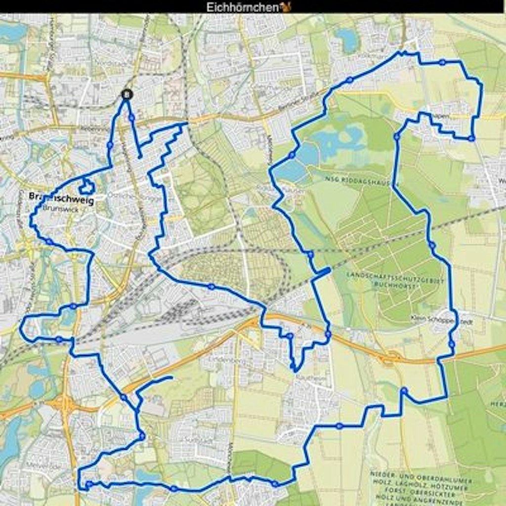 47 Kilometer, Treppen, Um- und Fußwege später ist das Eichhörnchen in den Stadtplan gezeichnet.