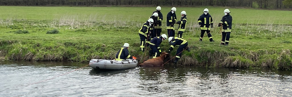 Mit einem geliehenen Schlauchboot brachen Einsatzkräfte der Feuerwehr das Tier zum Ufer.