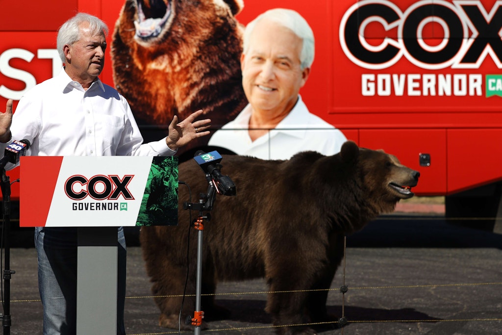 Kandidat John Cox samt Bär in Sacramento während einer Wahlkampfrede.