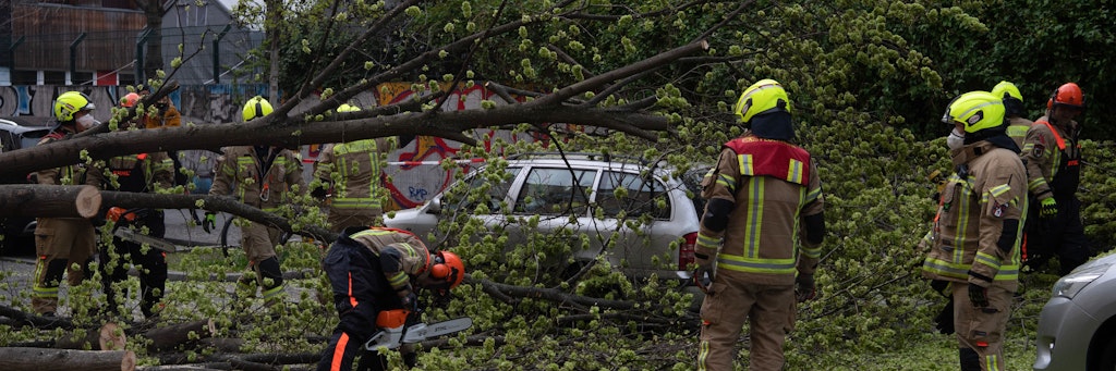 Feuerwehrleute zerlegen einen Baum, der in der Lausitzer Straße auf einen Pkw gestürzt ist. 