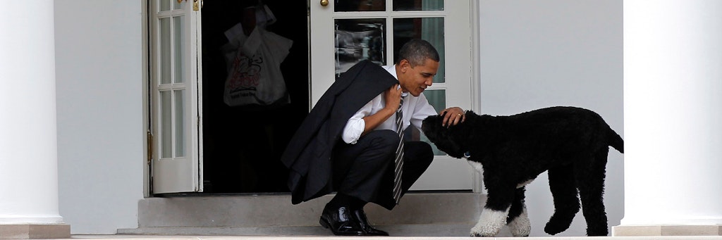 Barack Obama im Jahr 2012 mit Hund Bo.
