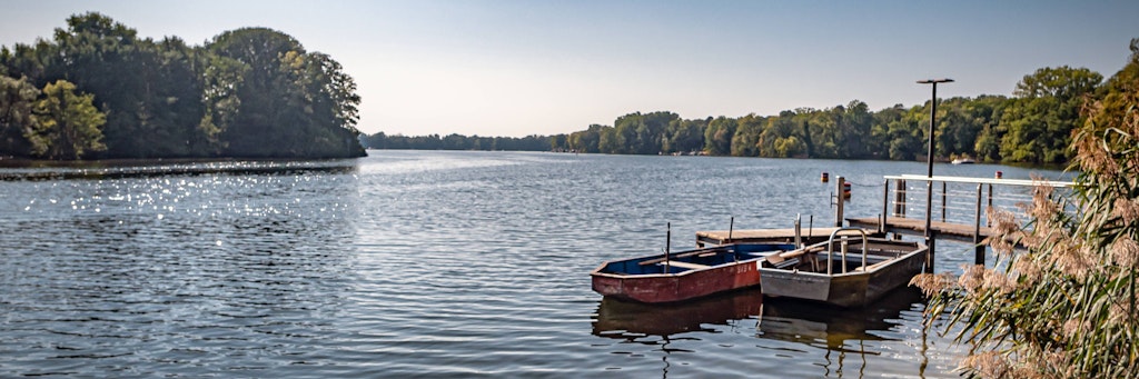 Das Wasser des Tegeler Sees ist klar und sauber, doch auf Wasserpflanzen, die ans Ufer getrieben werden, lauert ein gefährliches Gift.