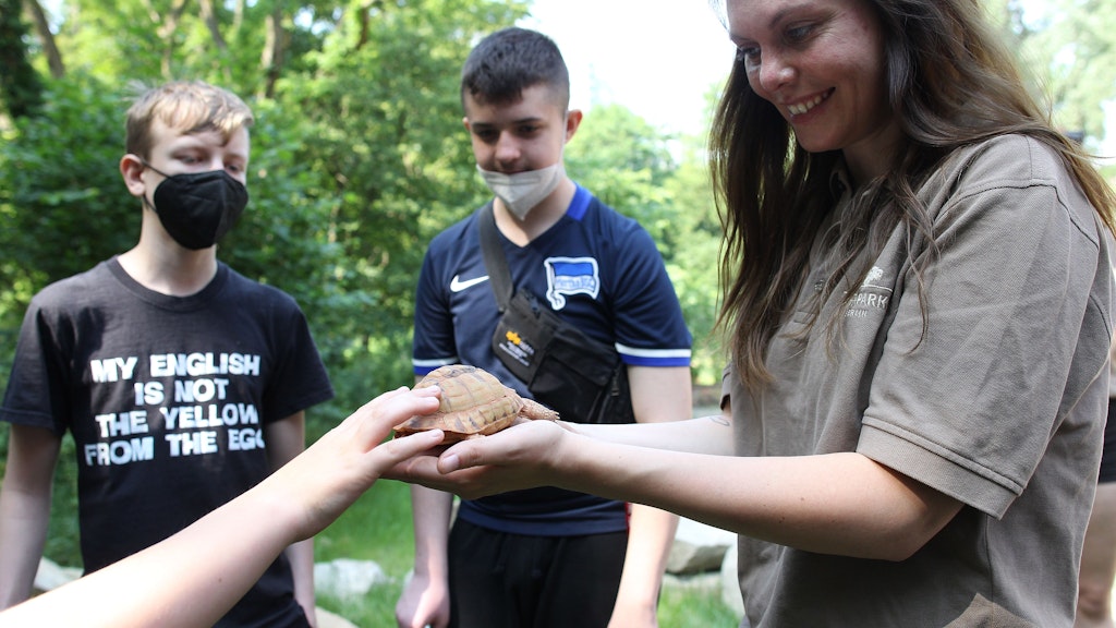 Svenja Eisenbarth, Chefin der Tierpark-Schule, zeigt sie den Kindern die Ägyptische Landschildkröte Mani-Mani.