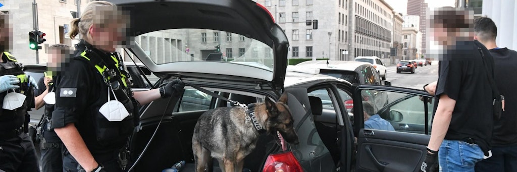 Schnüffelrunde im Drogen-Taxi
