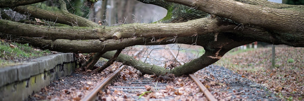 Ein Baum ist auf die Gleise gestürzt. Die Deutsche Bahn wird künftig mehr Probleme mit Stürmen bekommen.
