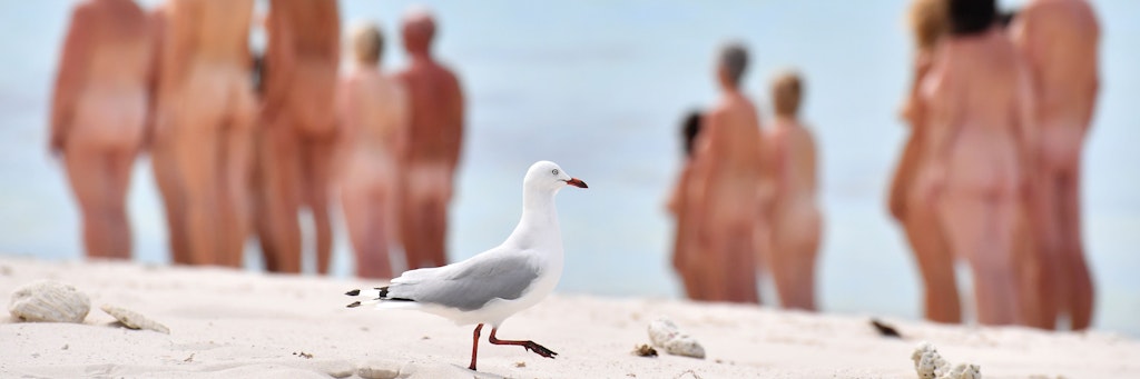 Nackt am Strand? Da ist es gut, wenn nur eine Möwe und kein Hirsch vorbeikommt ...