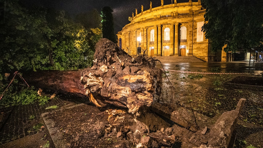 Stuttgart: Umgestürzter Baum liegt im oberen Schlossgarten vor dem Opernhaus.