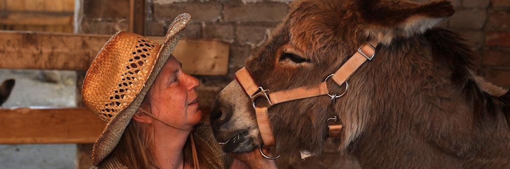 Kathrin Heise betreibt eine kleine Eselfarm in Karwe bei Fehrbellin.