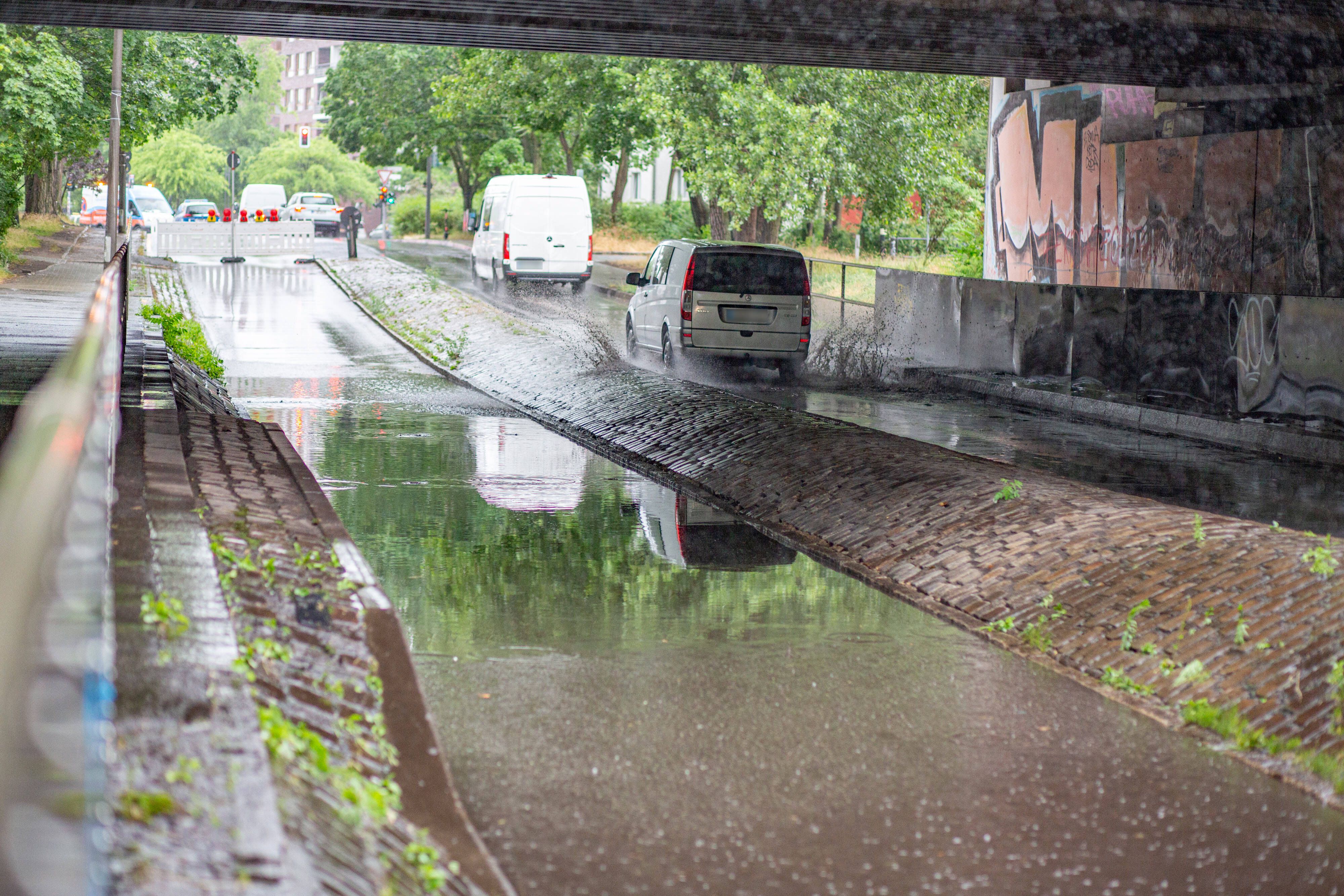 Berliner Umweltexperte: Das Reicht Nicht, Es Müsste Noch Viel Mehr Regnen!