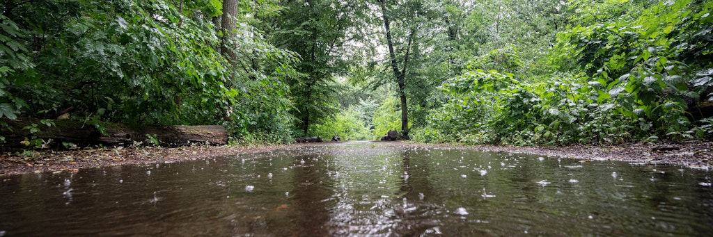 Auf den Wegen im Plänterwald haben sich große Pfützen unter den Bäumen gebildet.