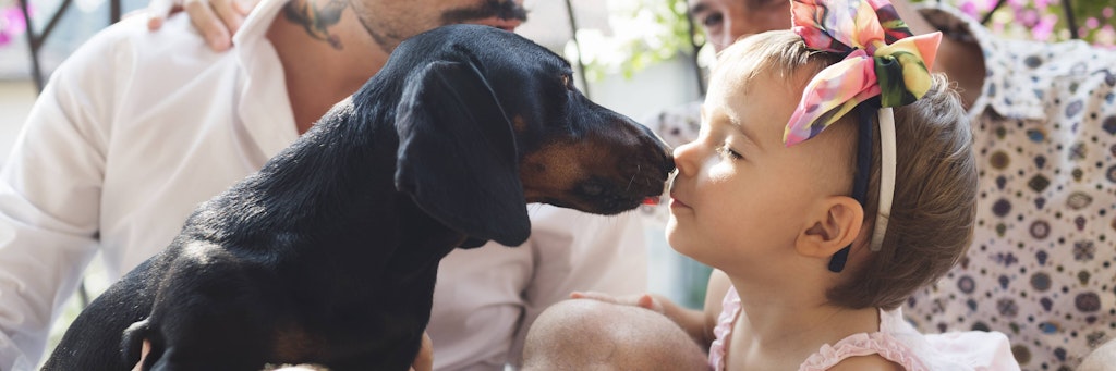 Kuscheln mit Hunden und Katzen sind während der Corona-Pandemie keine gute Idee.