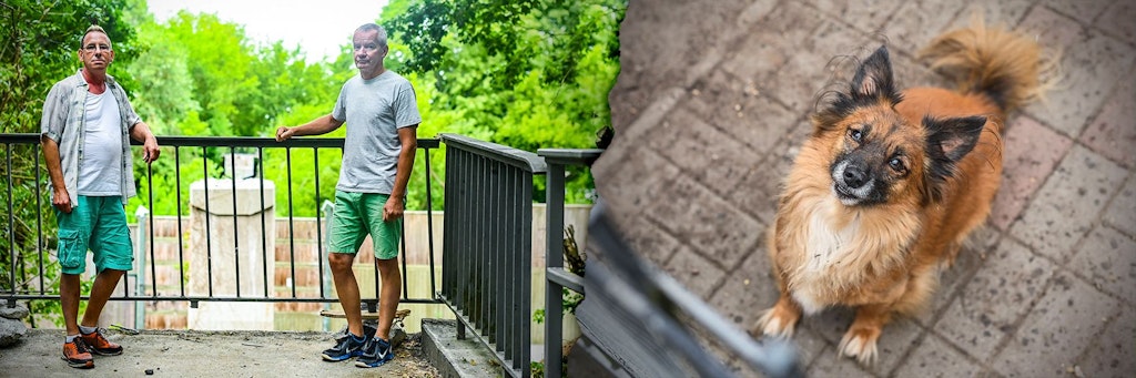 Dirk Bufé und Hartmut Benter betreiben das Altenheim für Tiere in Blankenburg - doch direkt nebenan wird nun gebaut.