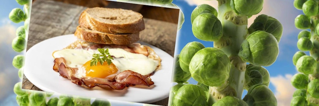 Brussels sprouts can also taste good as breakfast: for example with bacon and fried eggs.