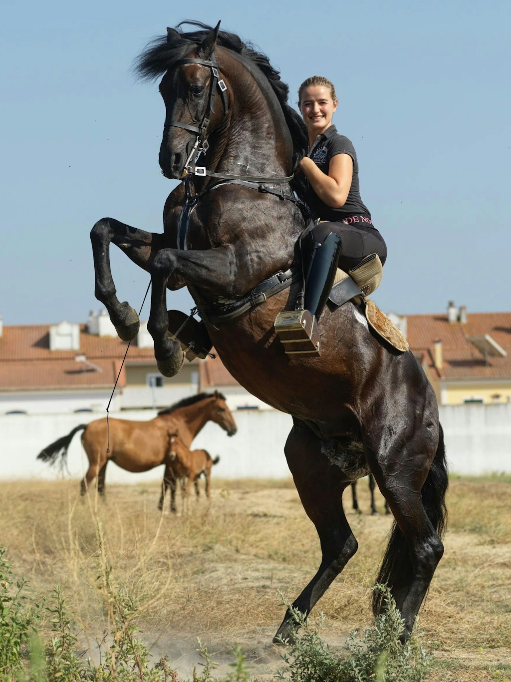 Die deutsche Stierkämpferin Clara Kreutter hoch zu Ross in Portugal.